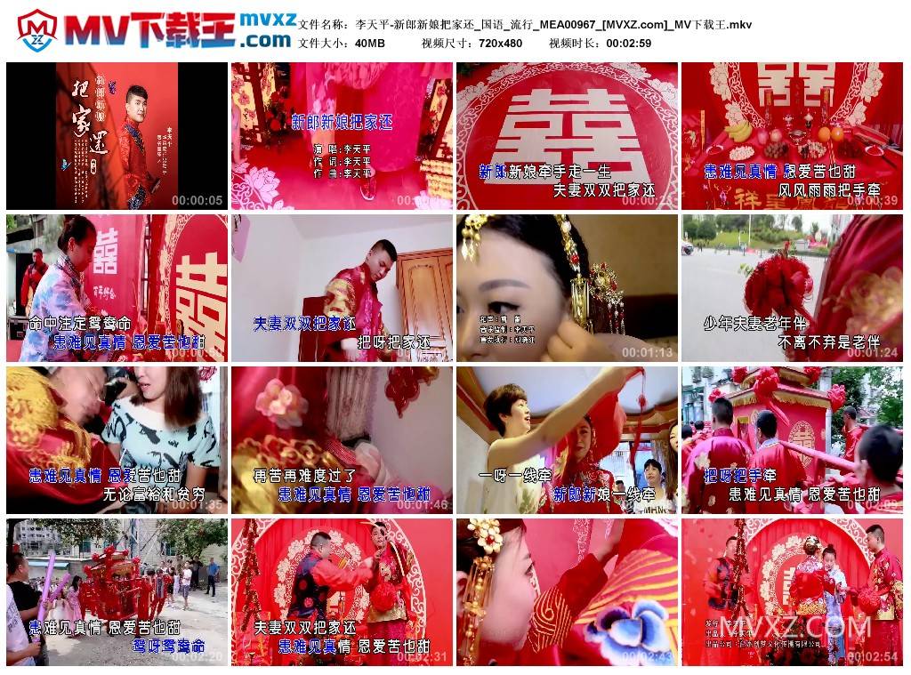 李天平-新郎新娘把家还_国语_流行_MEA00967